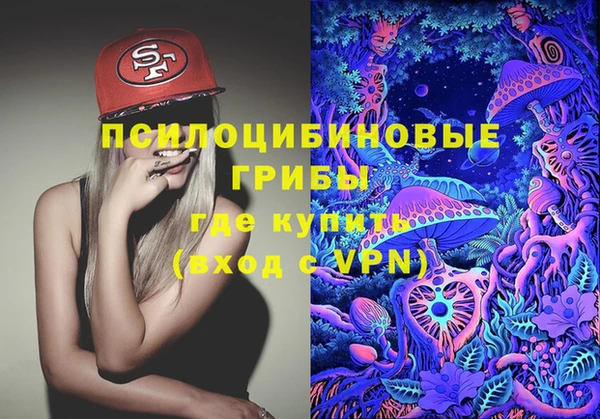бошки Алексеевка