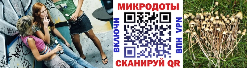 Галлюциногенные грибы GOLDEN TEACHER  дарк нет как зайти  Златоуст  как найти  