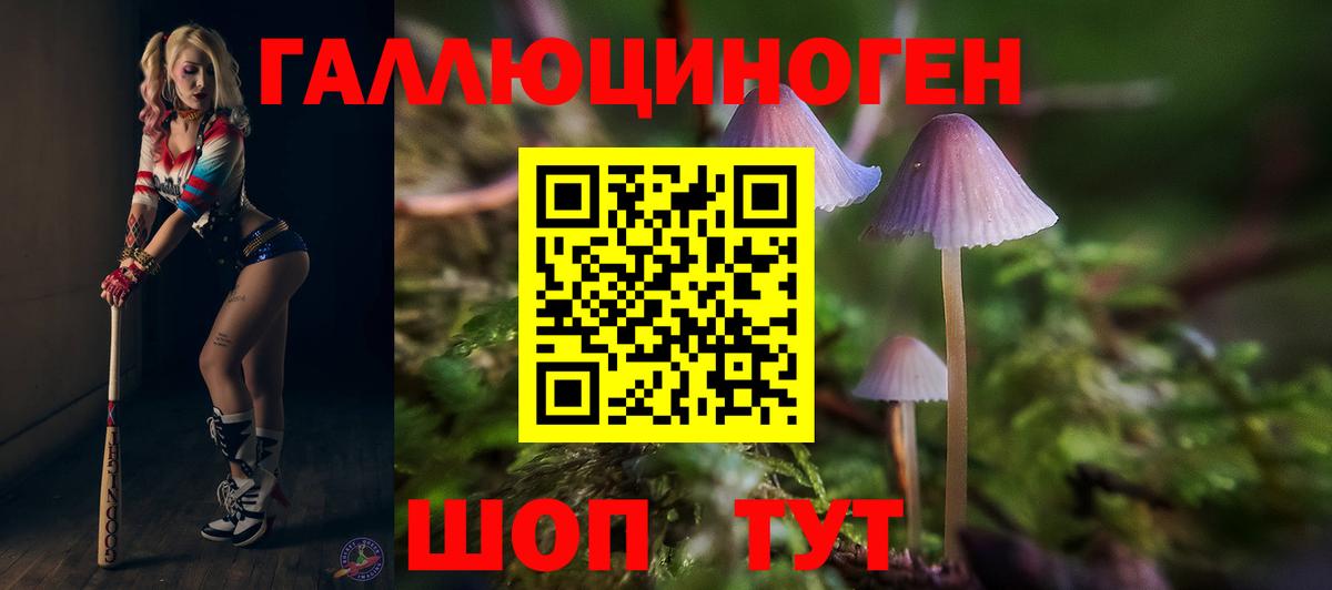 Златоуст  как найти закладки  Галлюциногенные грибы GOLDEN TEACHER  Вход с VPN  Галлюциногенные грибы прущие грибы 